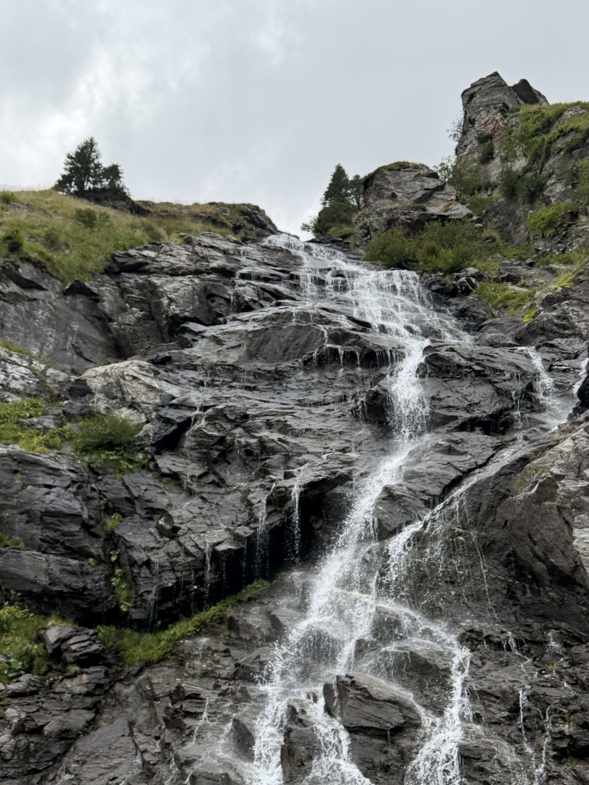 img 7678