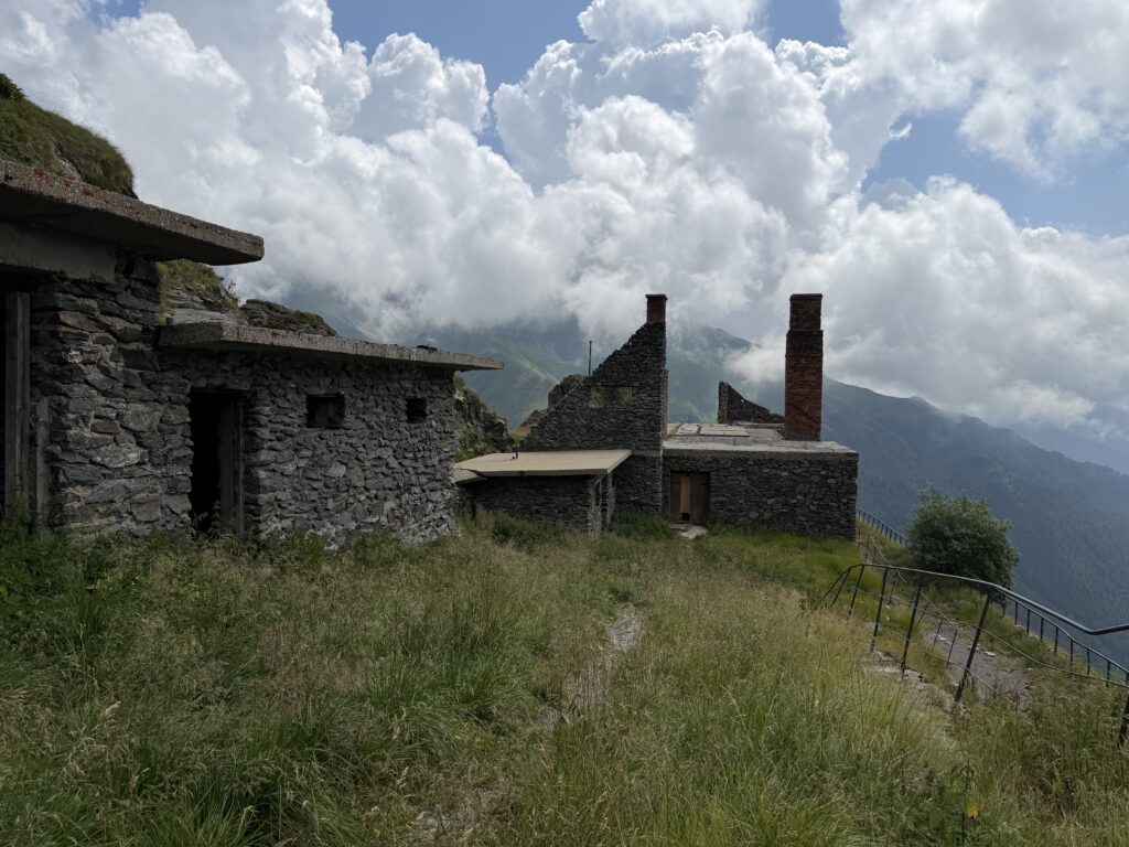 img 7710