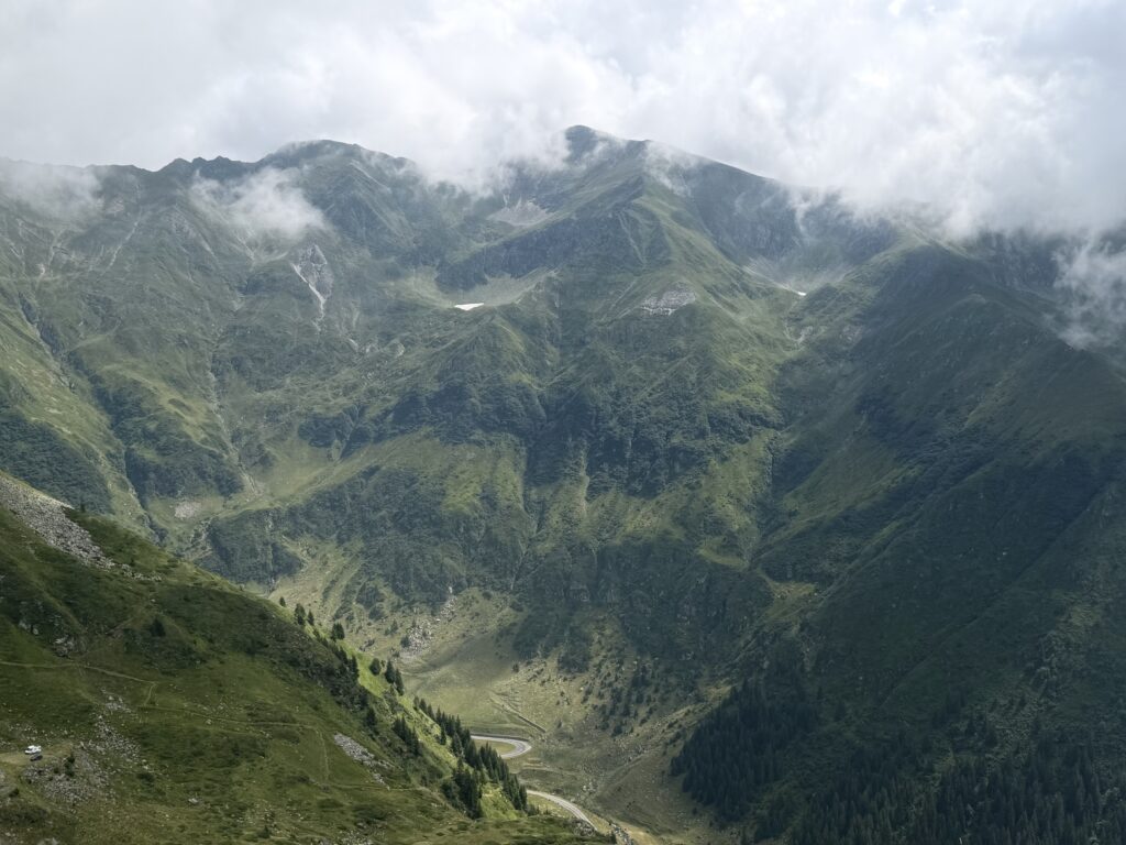 img 7711