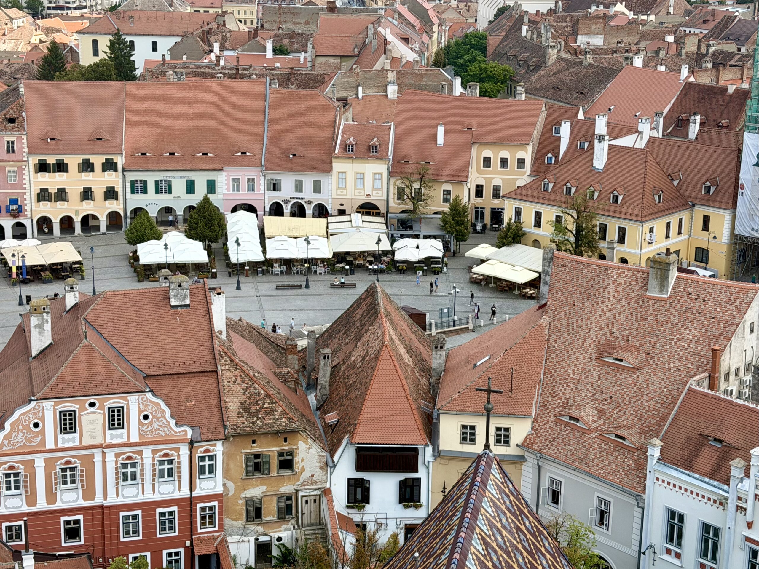 img 7918