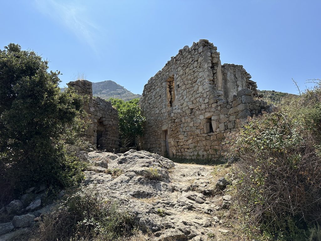 img 3930