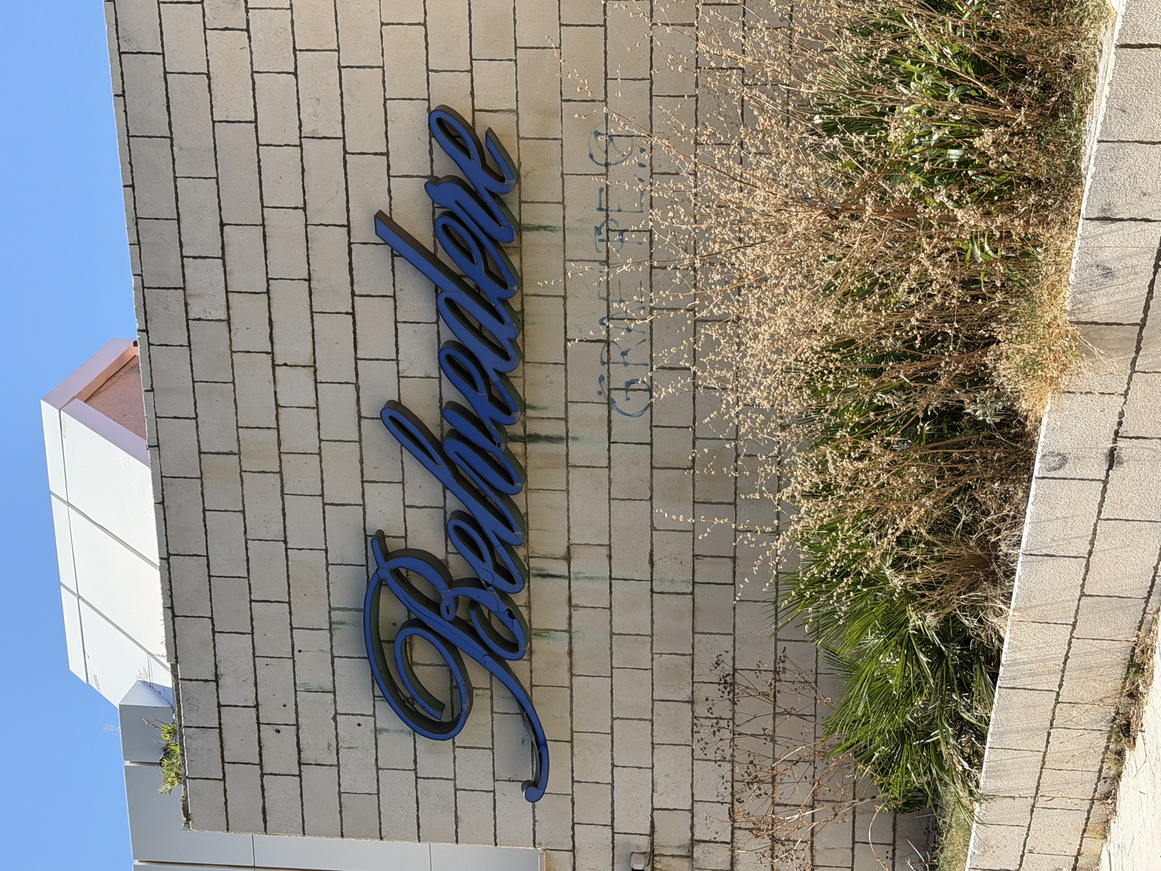 img 7118
