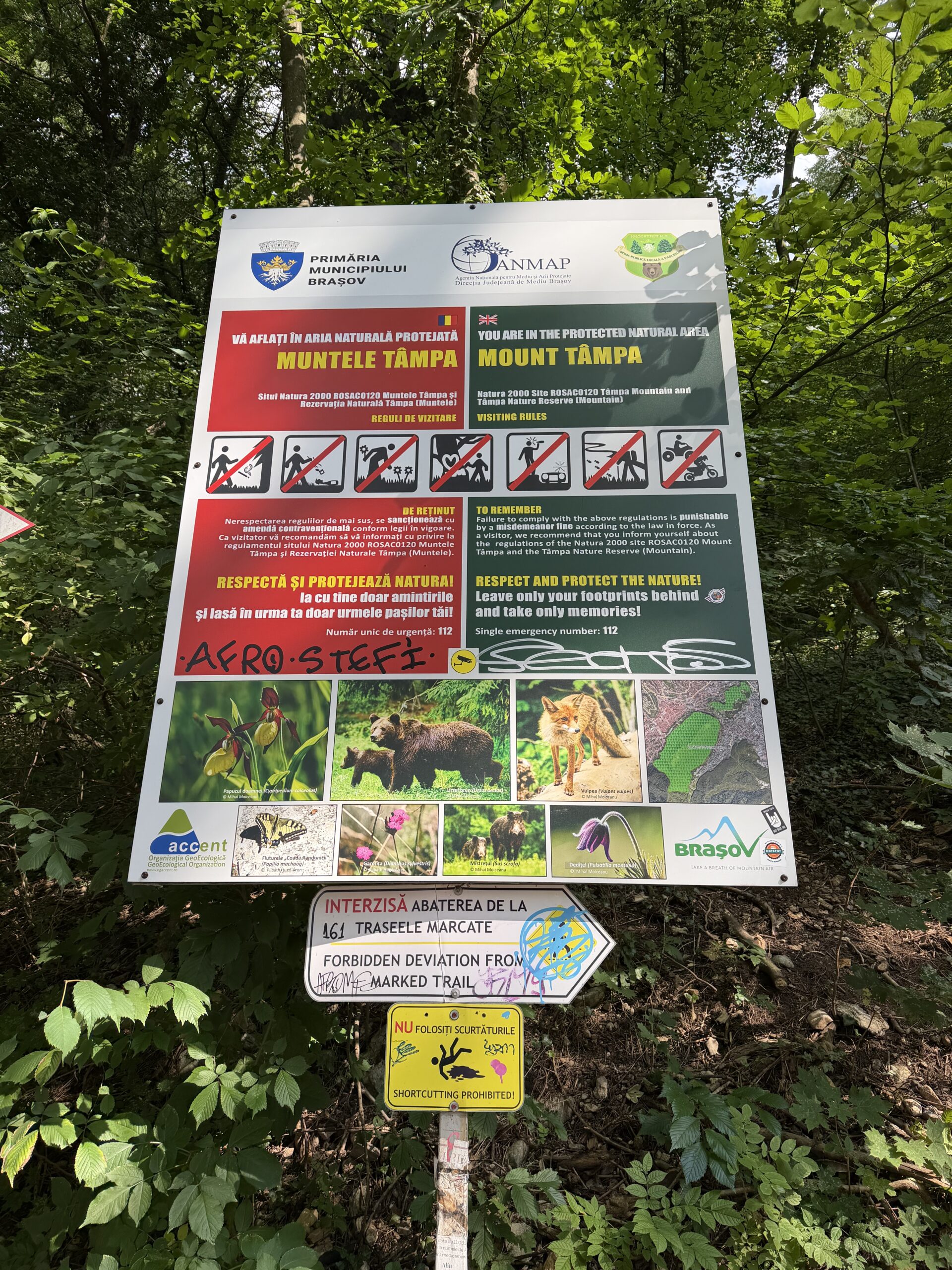 Que voir et que faire à Brașov ? Guide complet & Conseils Pancarte en bas du mont Tâmpa qui informe des types d'animaux qui peuvent être croisés et des choses interdites à faire