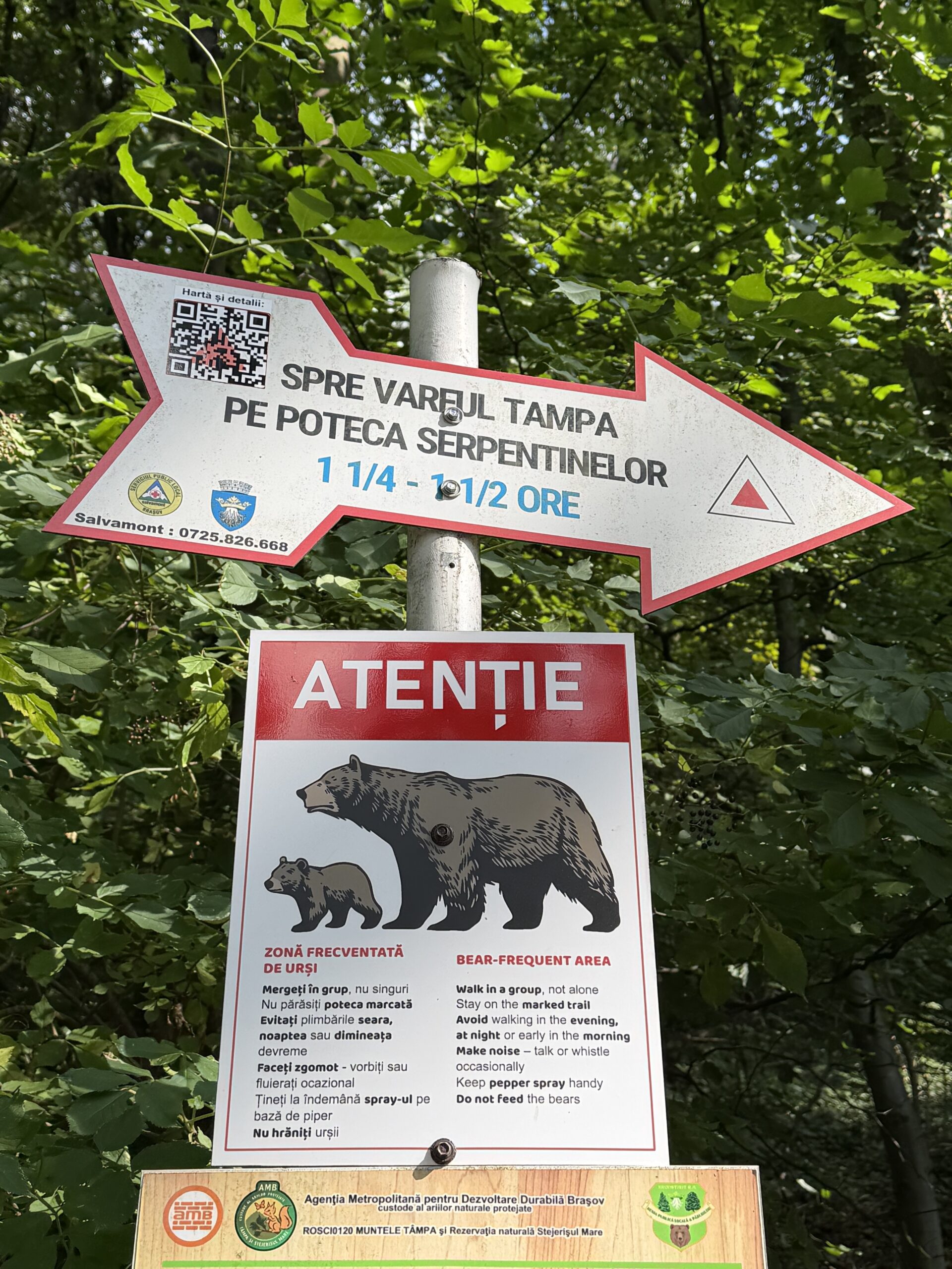 Que voir et que faire à Brașov ? Guide complet & Conseils Affiche en bas du mont Tâmpa signalent la présence d'ours