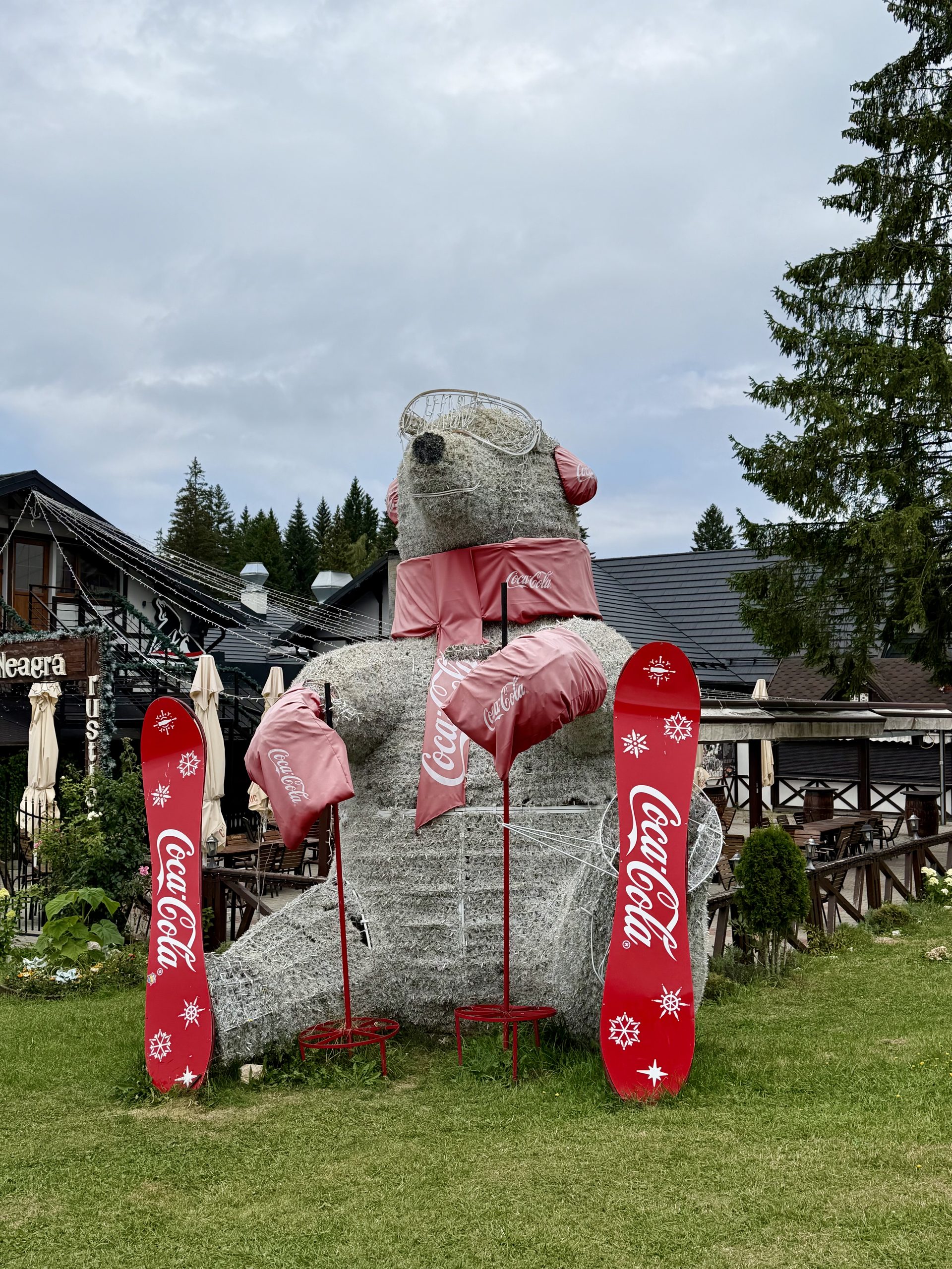 Que faire autour de Brașov ? Les meilleures excursions à moins d'une heure de route Ours Coca Cola vu en bas des pistes de Poiana Brașov