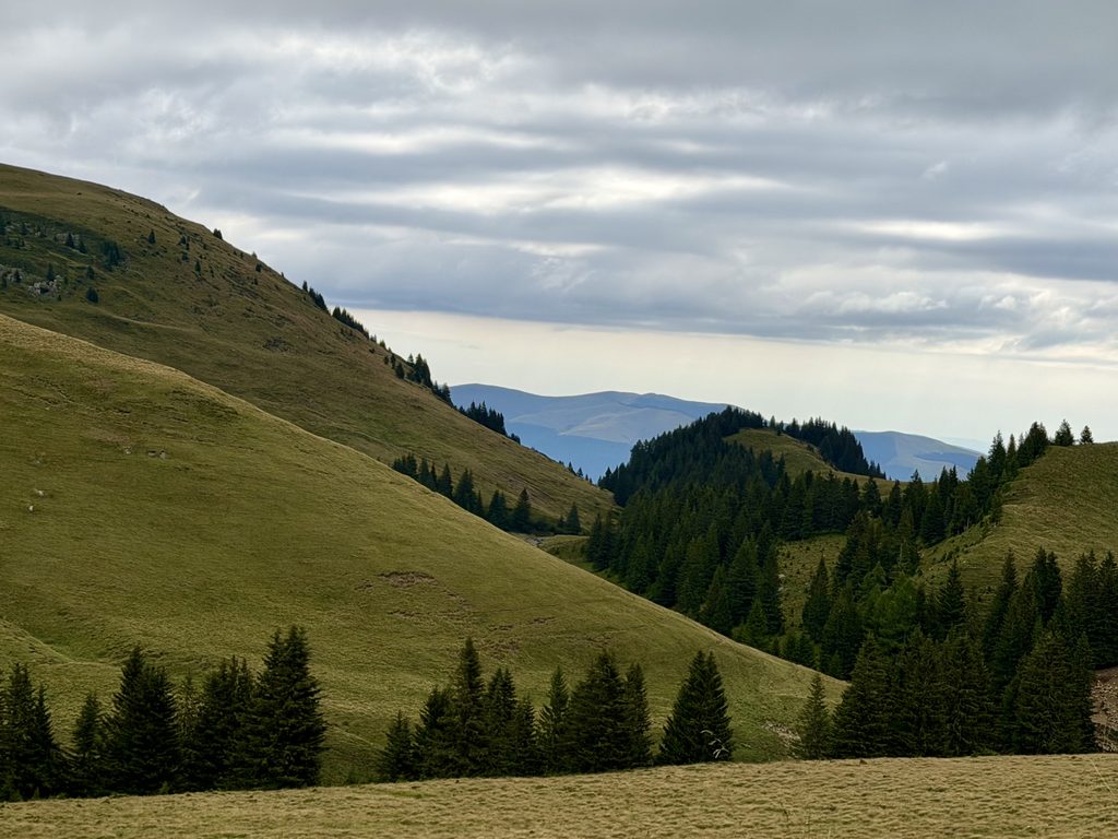 Une journée entre le Parc des Bucegi et Sinaia : notre itinéraire détaillé img 8520