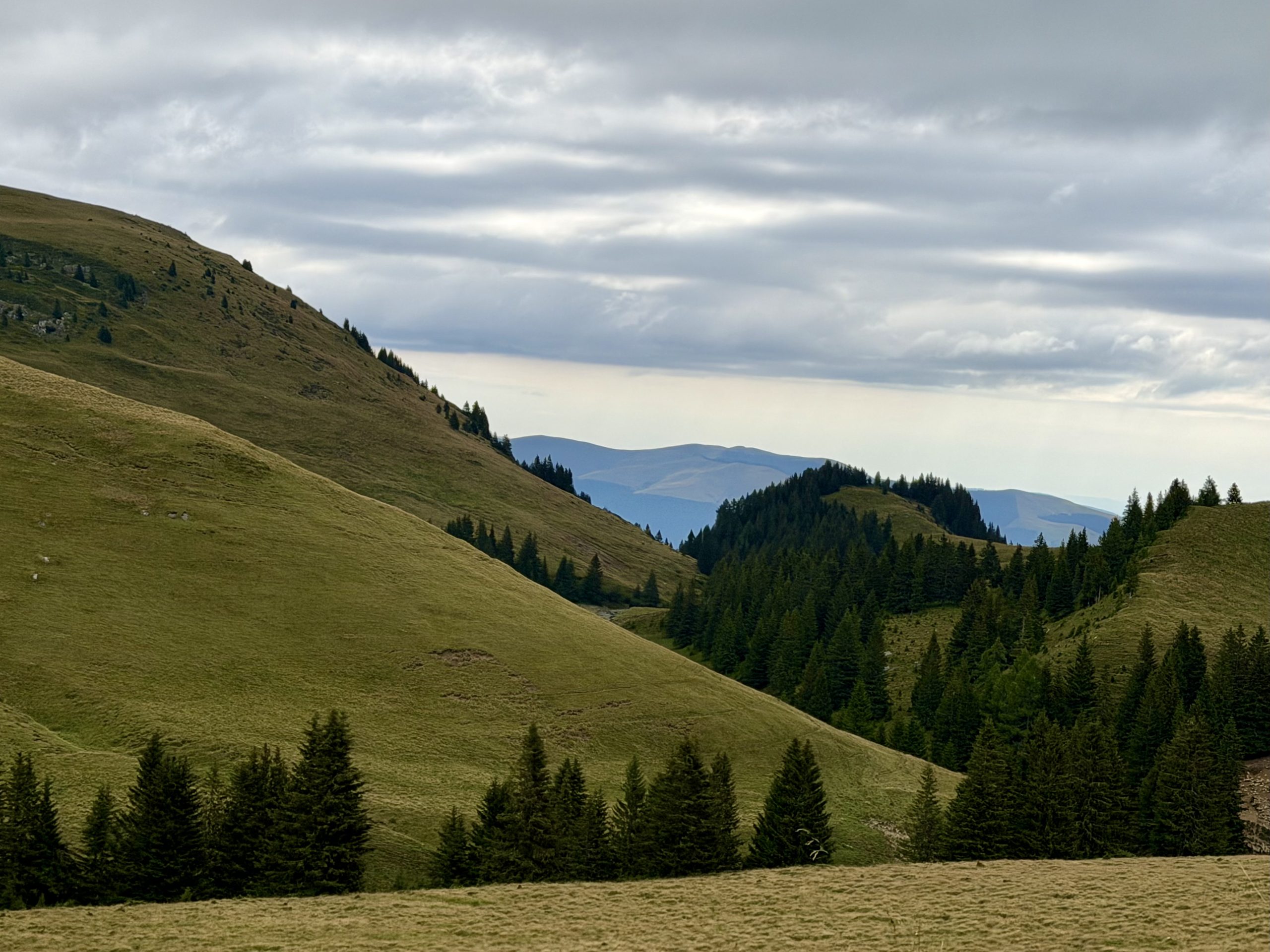 Une journée entre le Parc des Bucegi et Sinaia : notre itinéraire détaillé Vue depuis le plateau du Bucegi