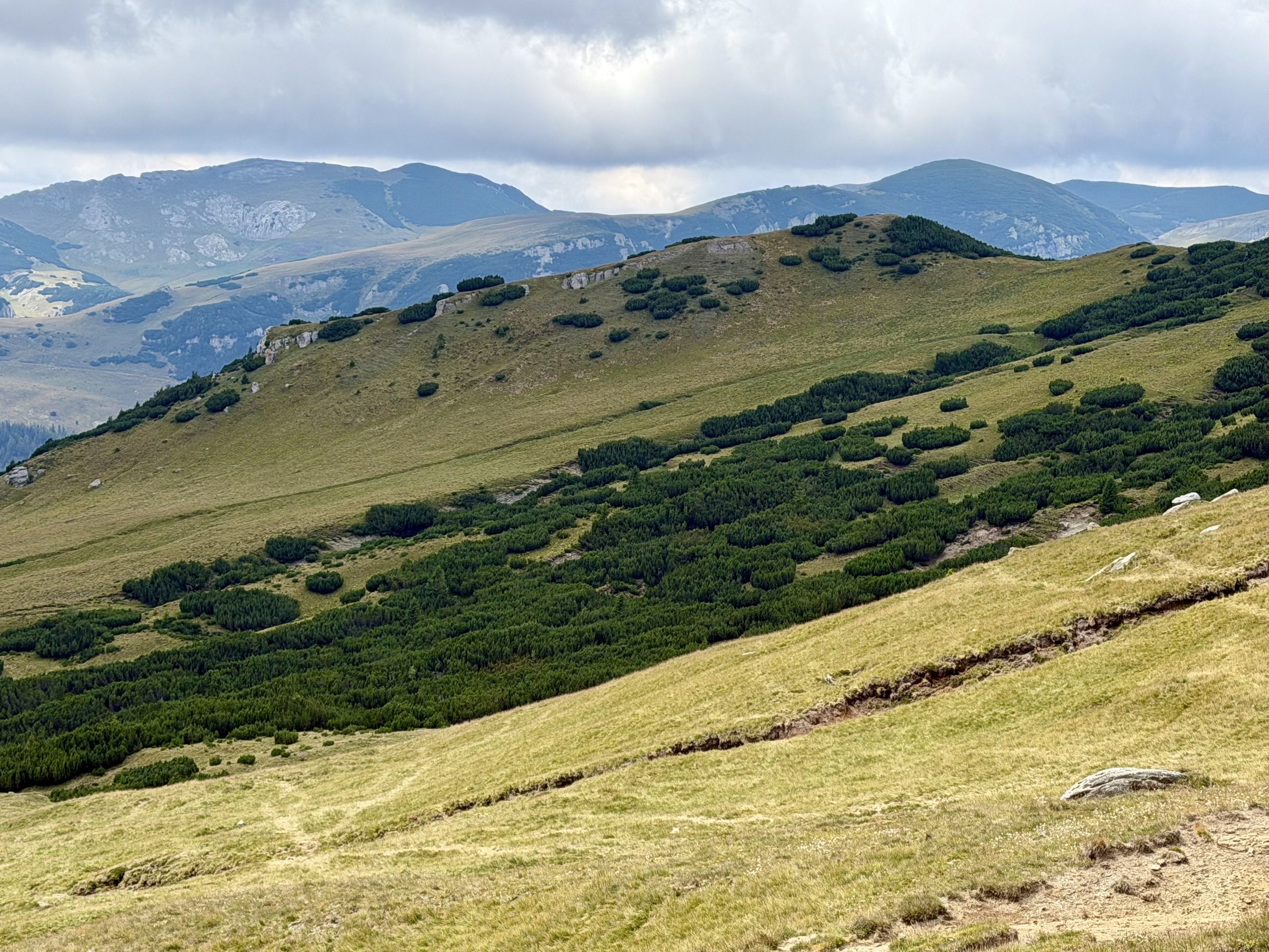 Une journée entre le Parc des Bucegi et Sinaia : notre itinéraire détaillé Vue nature depuis le parc du Bucegi
