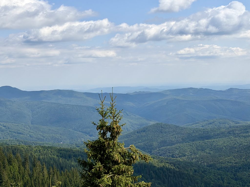 Une journée entre le Parc des Bucegi et Sinaia : notre itinéraire détaillé Vue panoramique depuis la Transbucegi